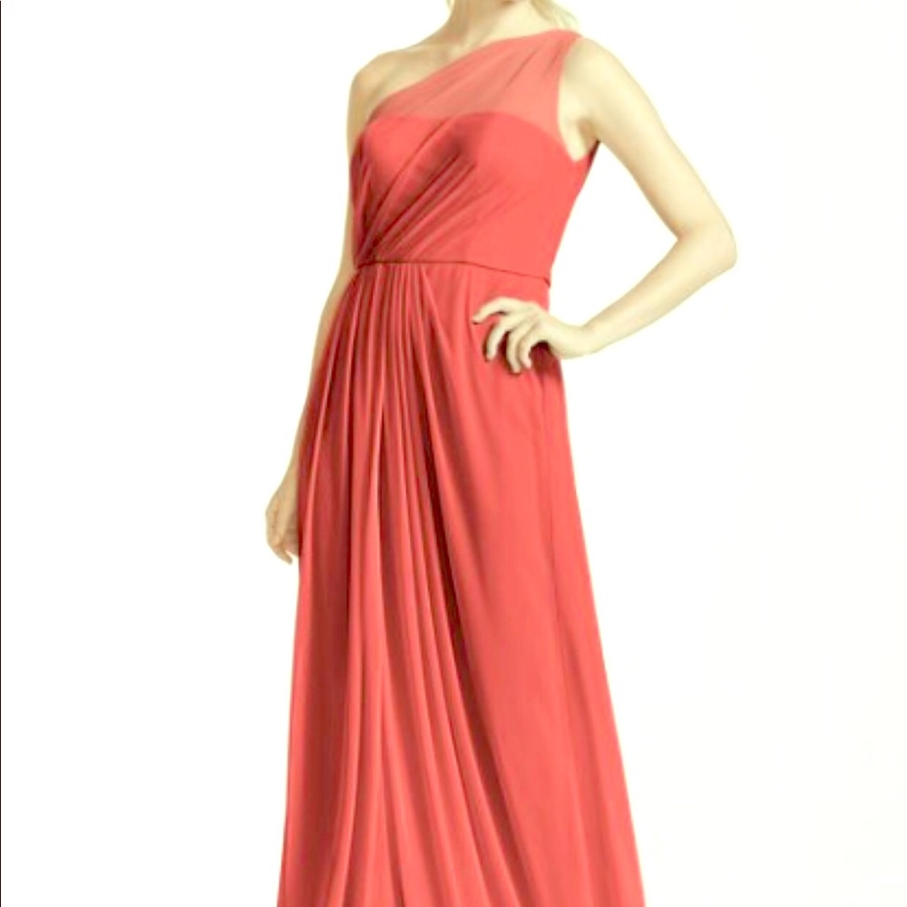 David’s Bridal Long Mesh Dress